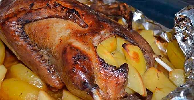 15 рецептов нежных и легких котлет из индейки