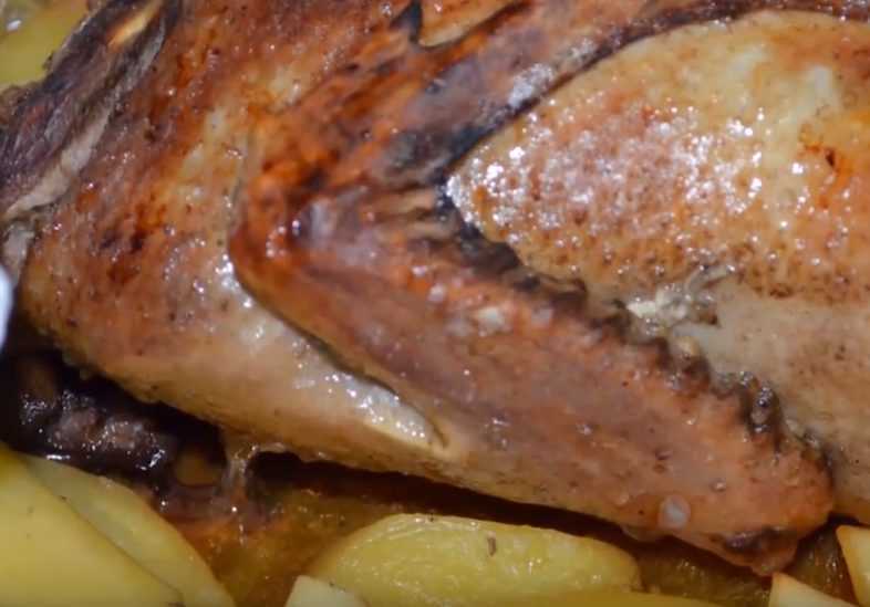 Фарш из утки: как сделать нежным, что можно приготовить - женский сайт