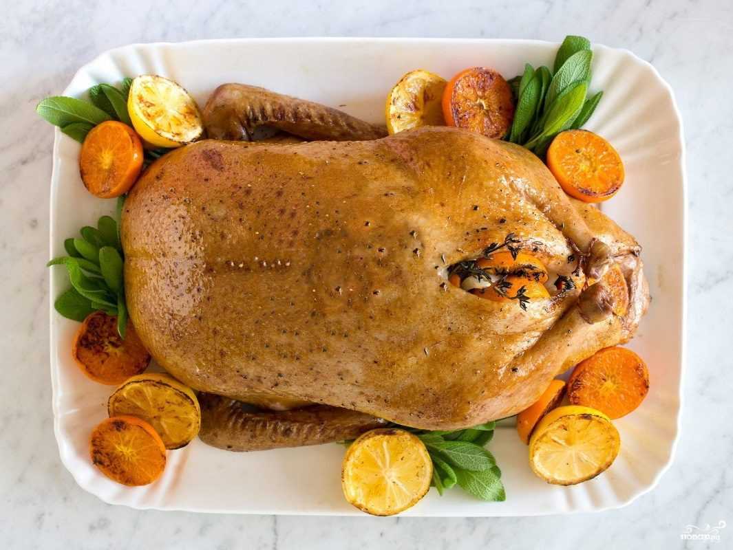 Котлеты из фарша индейки — сочные и мягкие рецепты на сковороде и в духовке