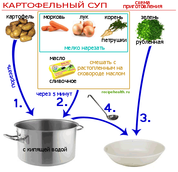 Грибной суп из свежих грибов, самые вкусные рецепты
