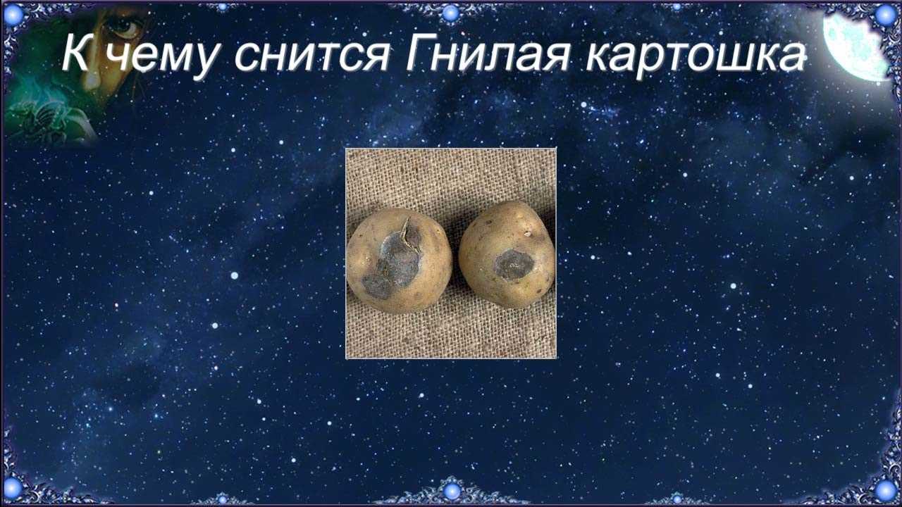 К чему снится картошка, сонник – картошка во сне