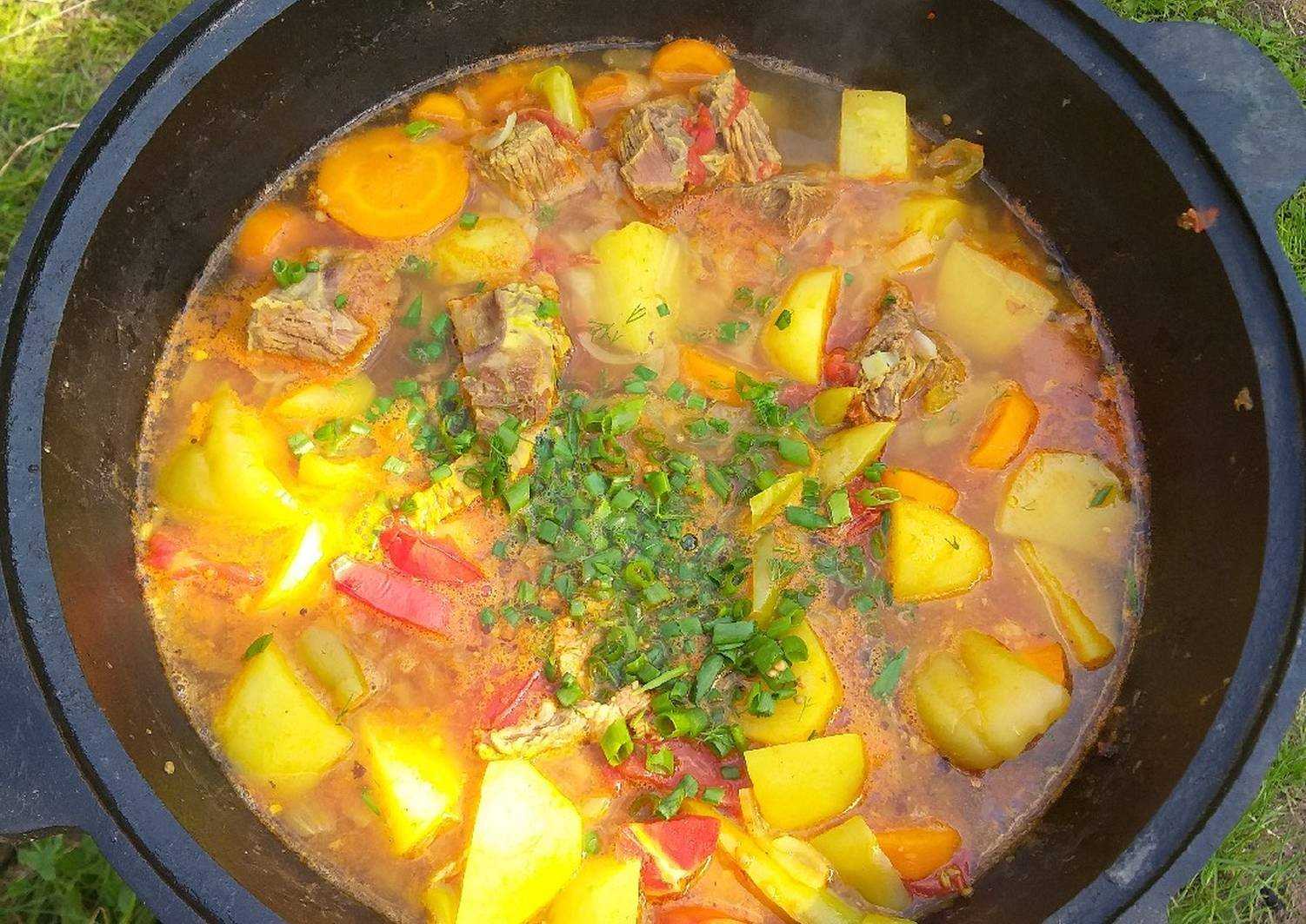 Шурпа из мяса оленя