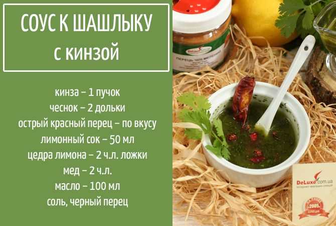 Соус для шашлыка с кинзой: рецепты с томатной пастой и свежими помидорами - onwomen.ru