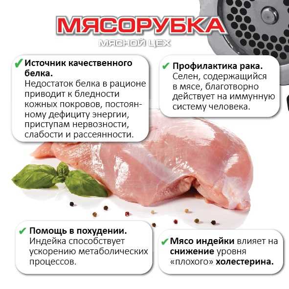 Диетические блюда из индейки: как и что приготовить из филе в духовке, лучшие рецепты для худеющих | customs.news