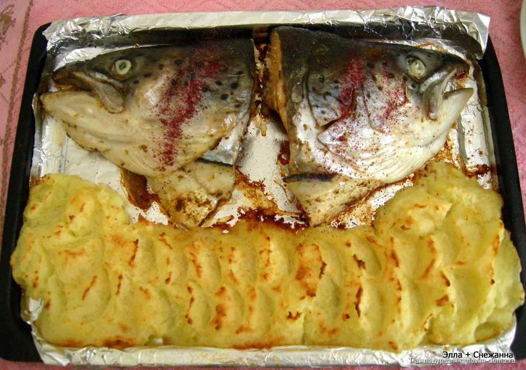 Как приготовить палтуса в духовке вкусно: рецепт филе с овощами и картошкой