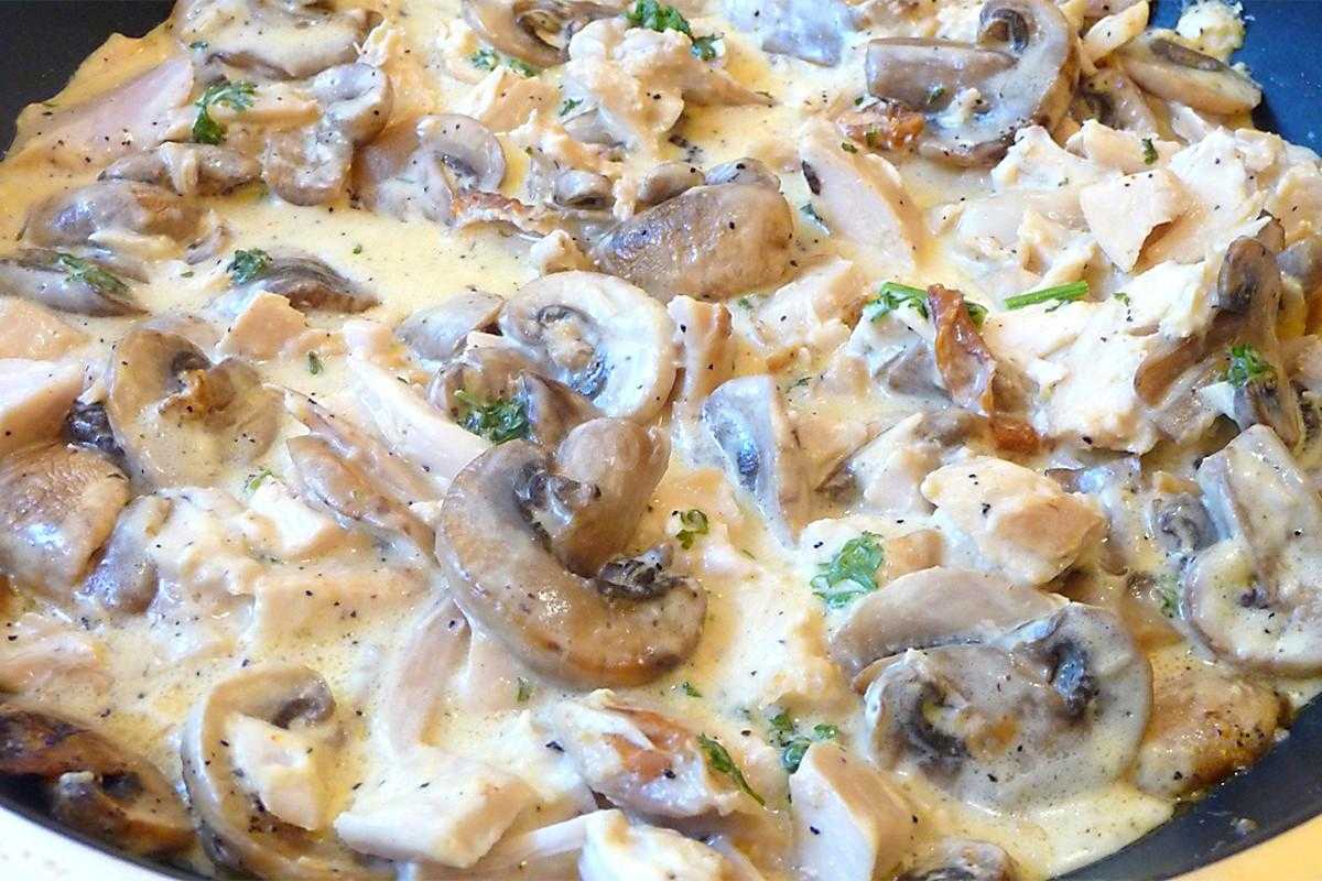Сырный соус с грибами: фото и рецепты приготовления грибных подлив