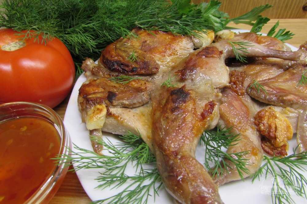 Как вкусно приготовить перепелку на сковороде: рецепты, жареные и тушеные перепела