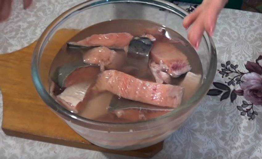 Как засолить толстолобик в домашних условиях кусочками, вкусные рецепты засолки по-домашнему