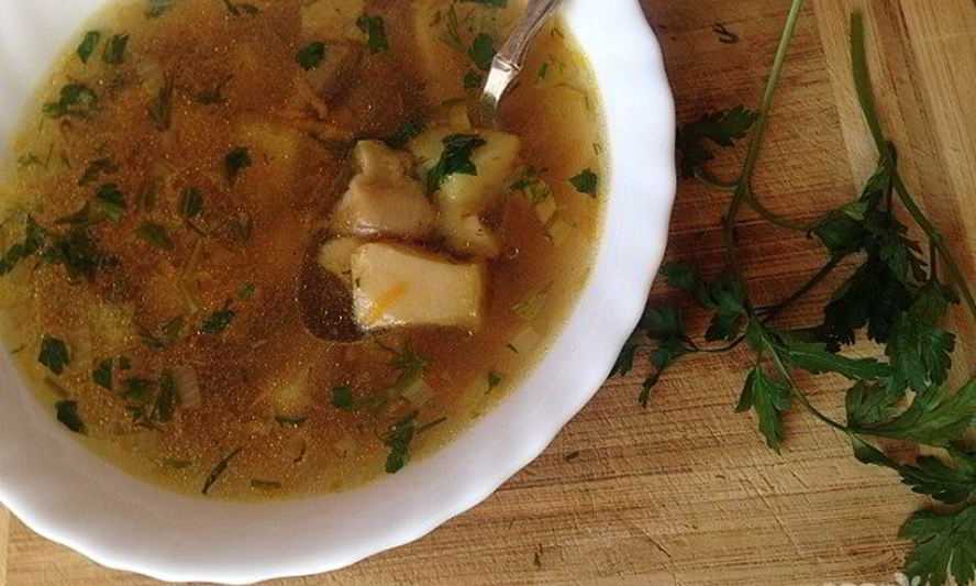 Грибной суп из белых грибов: 15 самых вкусных рецептов