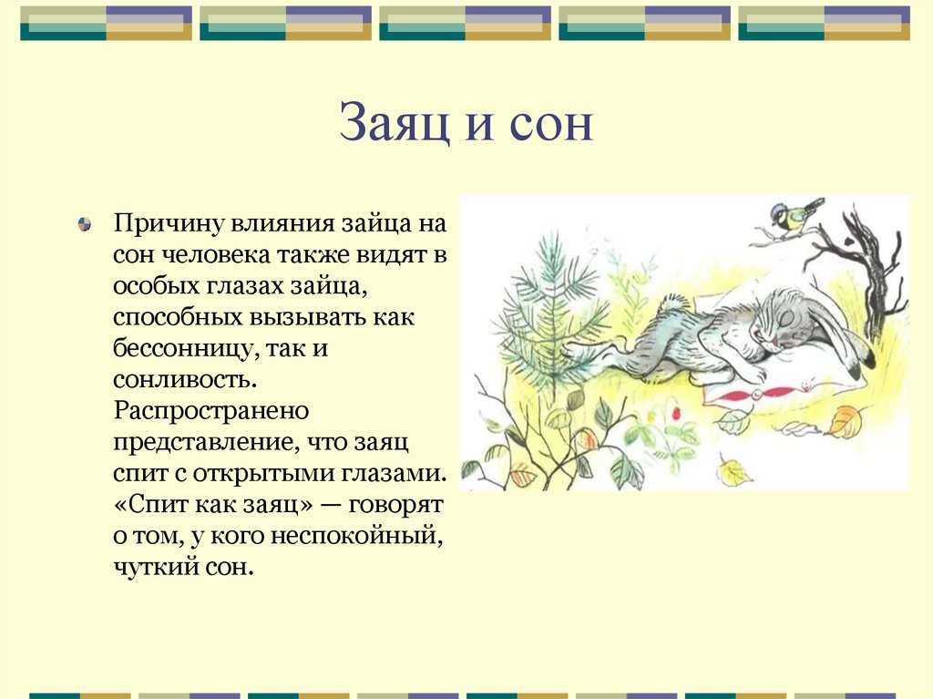 К чему снятся кролики женщине?