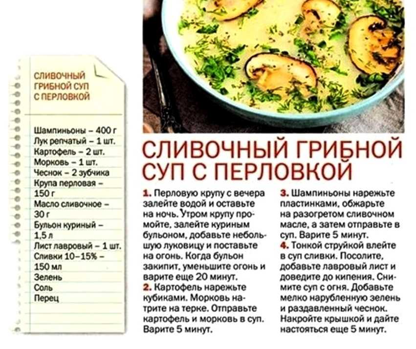 Грибной суп с вермишелью — 6 рецептов