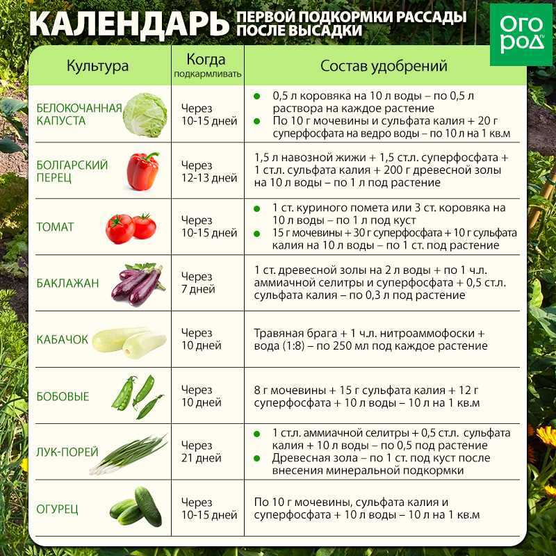 Какие садовые растения нельзя сажать рядом?