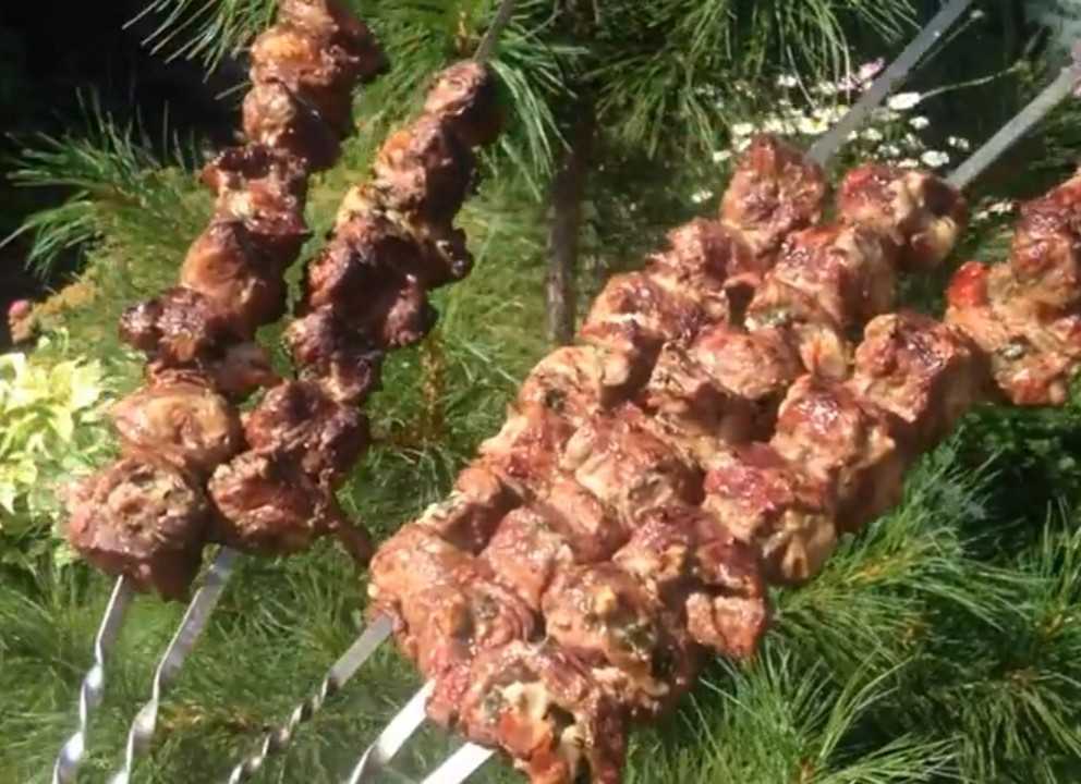 Шашлык из конины: готовим на мангале, отличные маринады