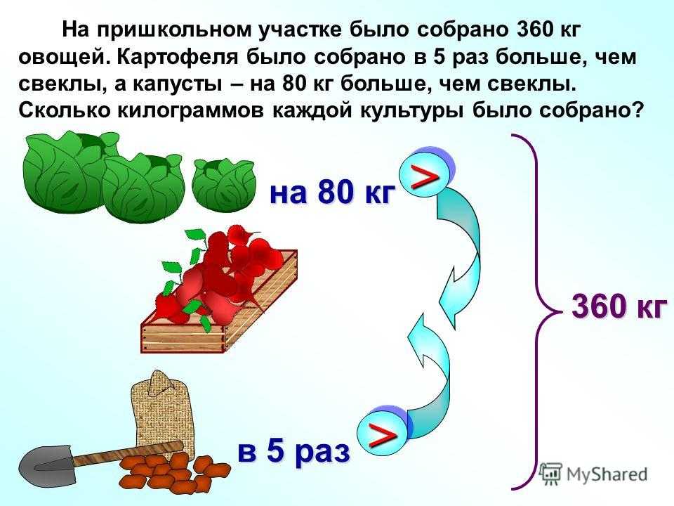 100 200 300 400 500 600 700 800 грамм свеклы - это сколько штук: подробный расчет