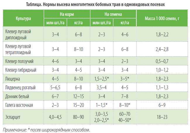 Как сеять сидерат фацелию осенью и когда закапывать в почву