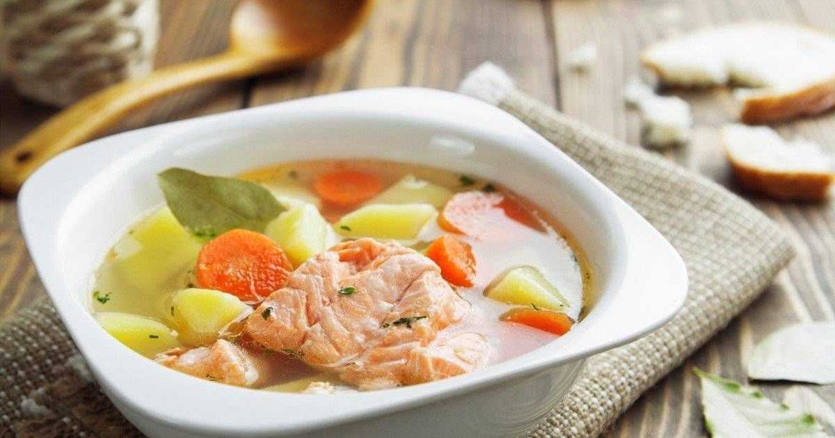 Уха из головы семги в домашних условиях: 6 рецептов