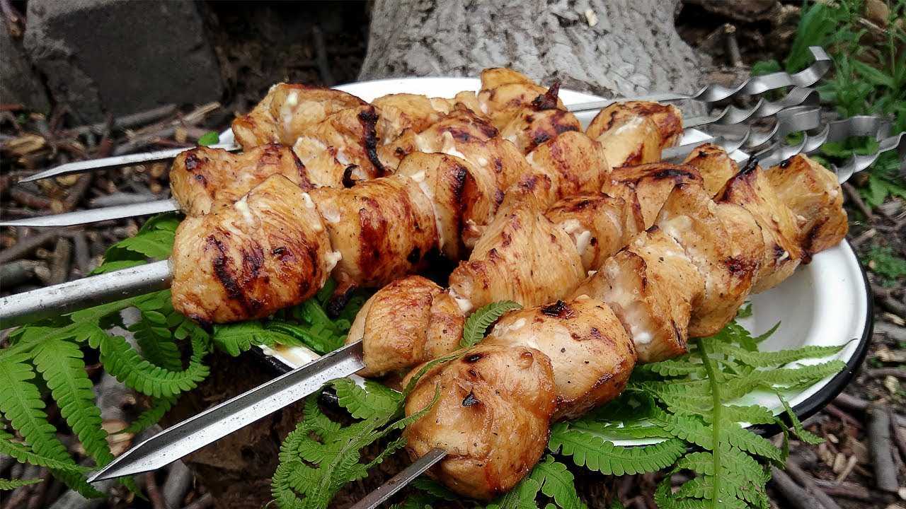 Шашлык из курицы: лучшие рецепты маринада с соевым соусом, чтобы мясо было сочным — тортомарафон