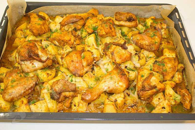 Курица с картошкой в духовке: рецепты с фото