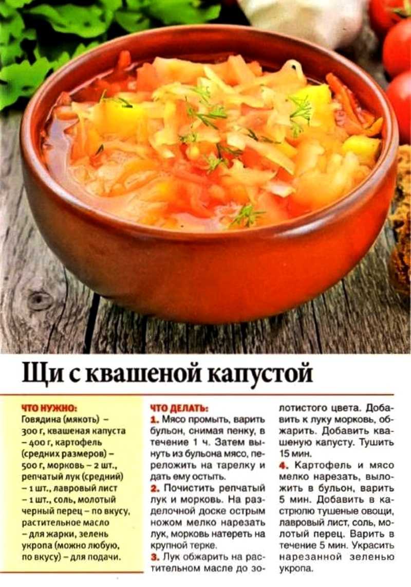 Щи из свежей капусты с курицей
