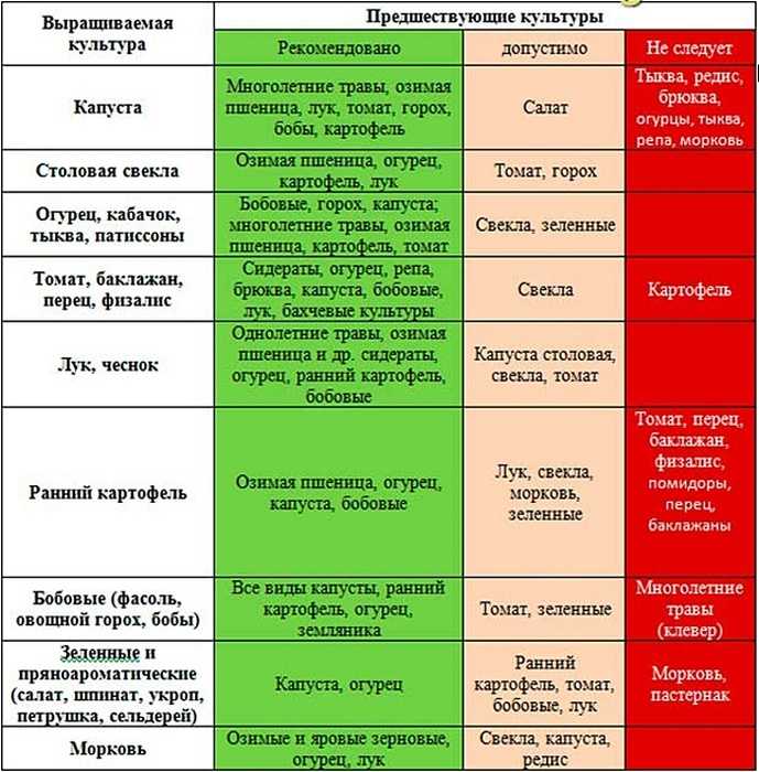 Предшественники и соседи овощных и плодово-ягодных культур: хорошие и плохие
