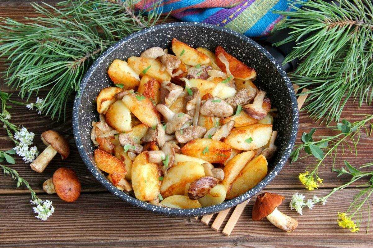 Картофельные зразы с грибами: 9 рецептов, как приготовить зразы в духовке и на сковороде