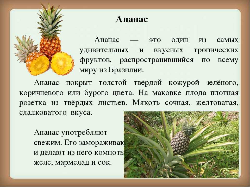 20 легких и вкусных салатов с ананасом