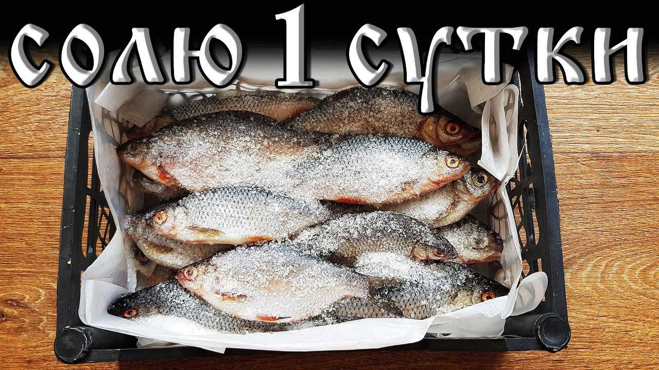 Как правильно солить рыбу для сушки