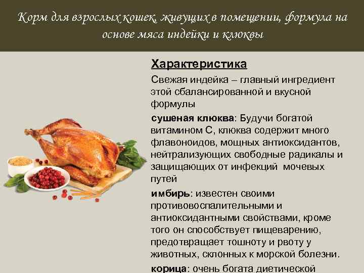 Бульон из индейки – основа диетического питания. рецепты бульонов из индейки с фрикадельками, манкой, галушками, омлетом, овощами - автор екатерина данилова - журнал женское мнение