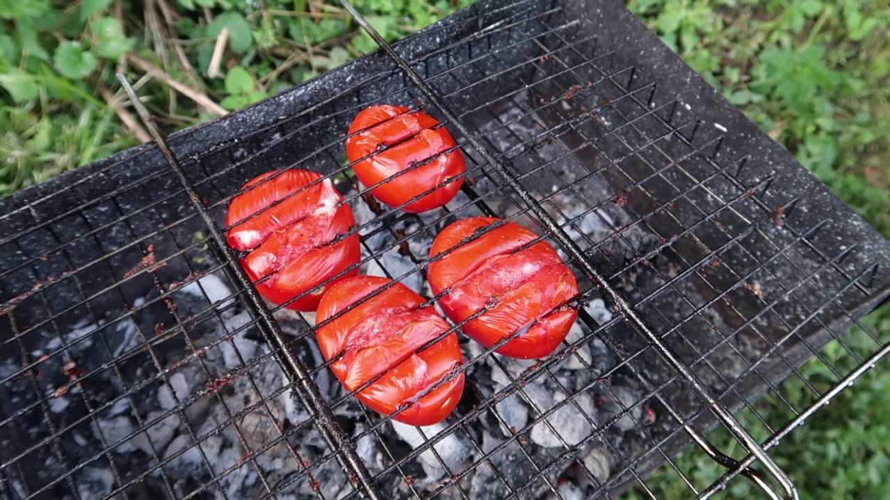 Как пожарить помидоры на мангале: рецепт приготовления