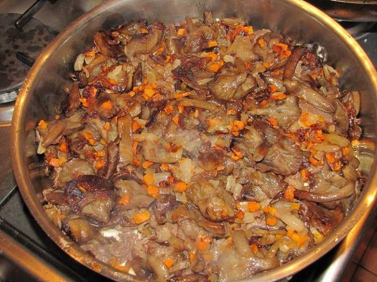 Как вкусно приготовить в домашних условиях лосятины (пошаговые рецепты с фото)