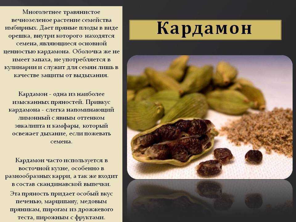 Приправа для пельменей – состав и калорийность; польза и вред; как приготовить в домашних условиях