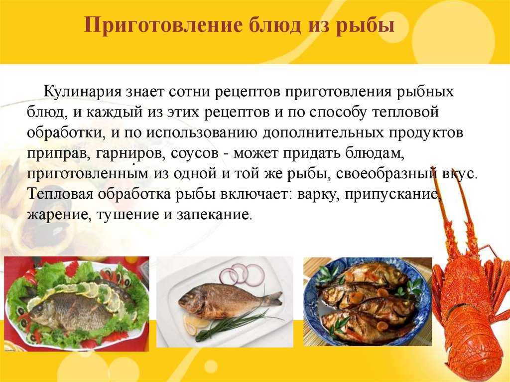 Как правильно пожарить рыбу, чтобы она не прилипала к сковородке: повара поделились хитростями: новости, приготовление еды, советы, готовка, рыба, продукты питания, кулинария