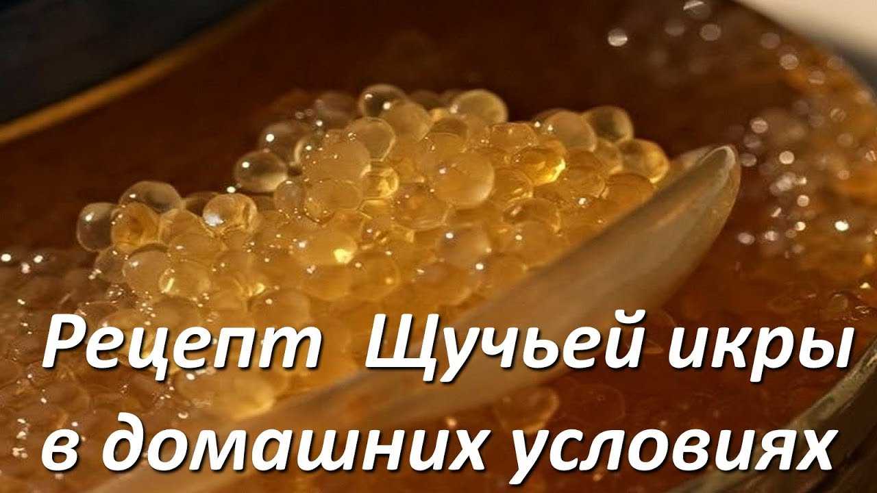 Как засолить икру щуки дома