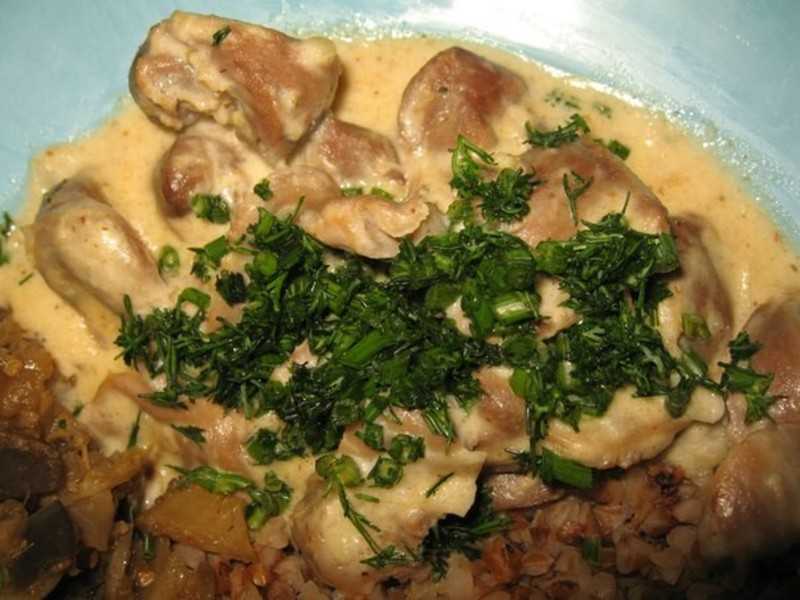 Куриные желудки с луком на сковороде. самые вкусные рецепты