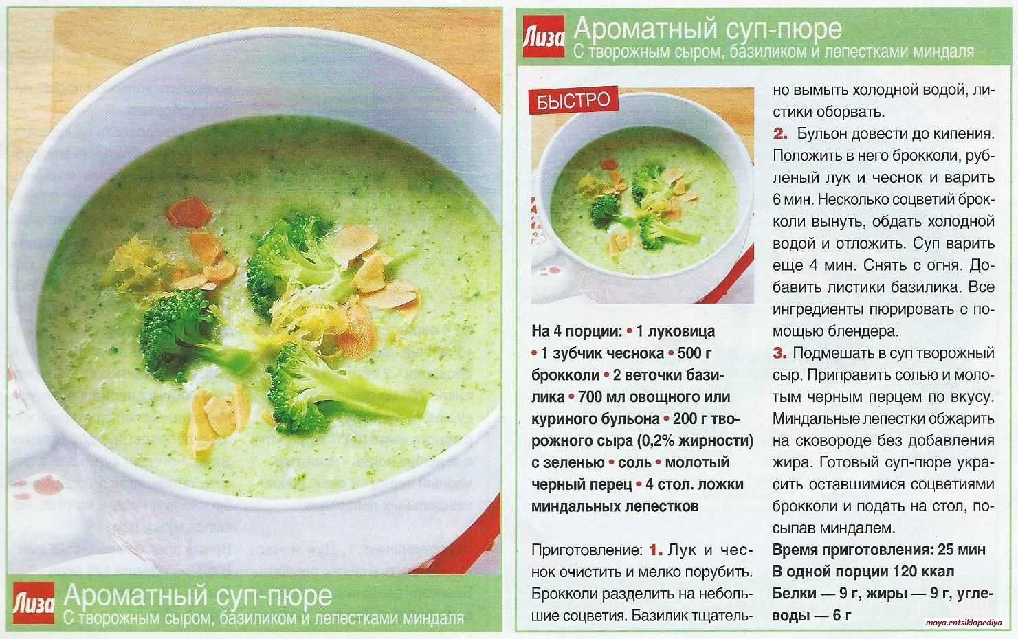 Грибной суп: 14 самых вкусных рецептов приготовления