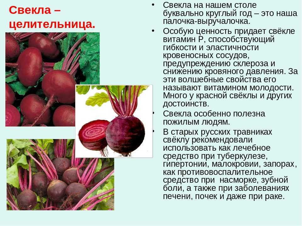 Как выжать сок из яблок без соковыжималки: 3 простых способа (+отзывы)