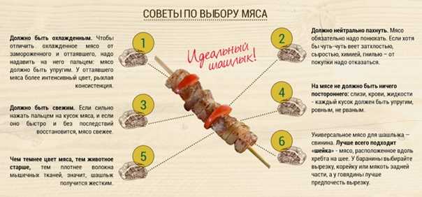 Какое мясо для шашлыка лучше всего, как выбрать хорошее мясо на шашлык
