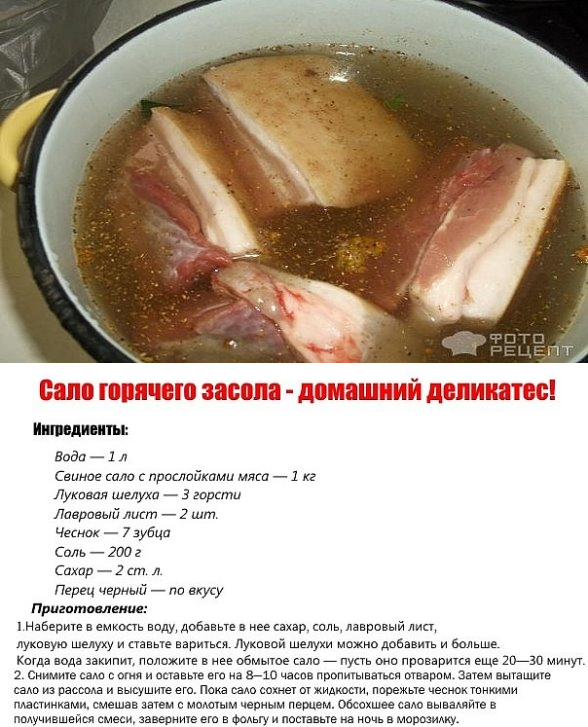 Как приготовить бобра вкусно: лучшие рецепты с фото