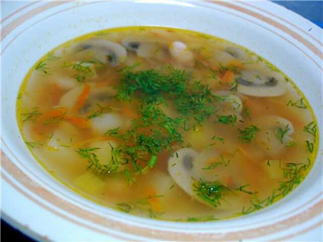 Как сварить грибной суп из свежих грибов? самые вкусные рецепты