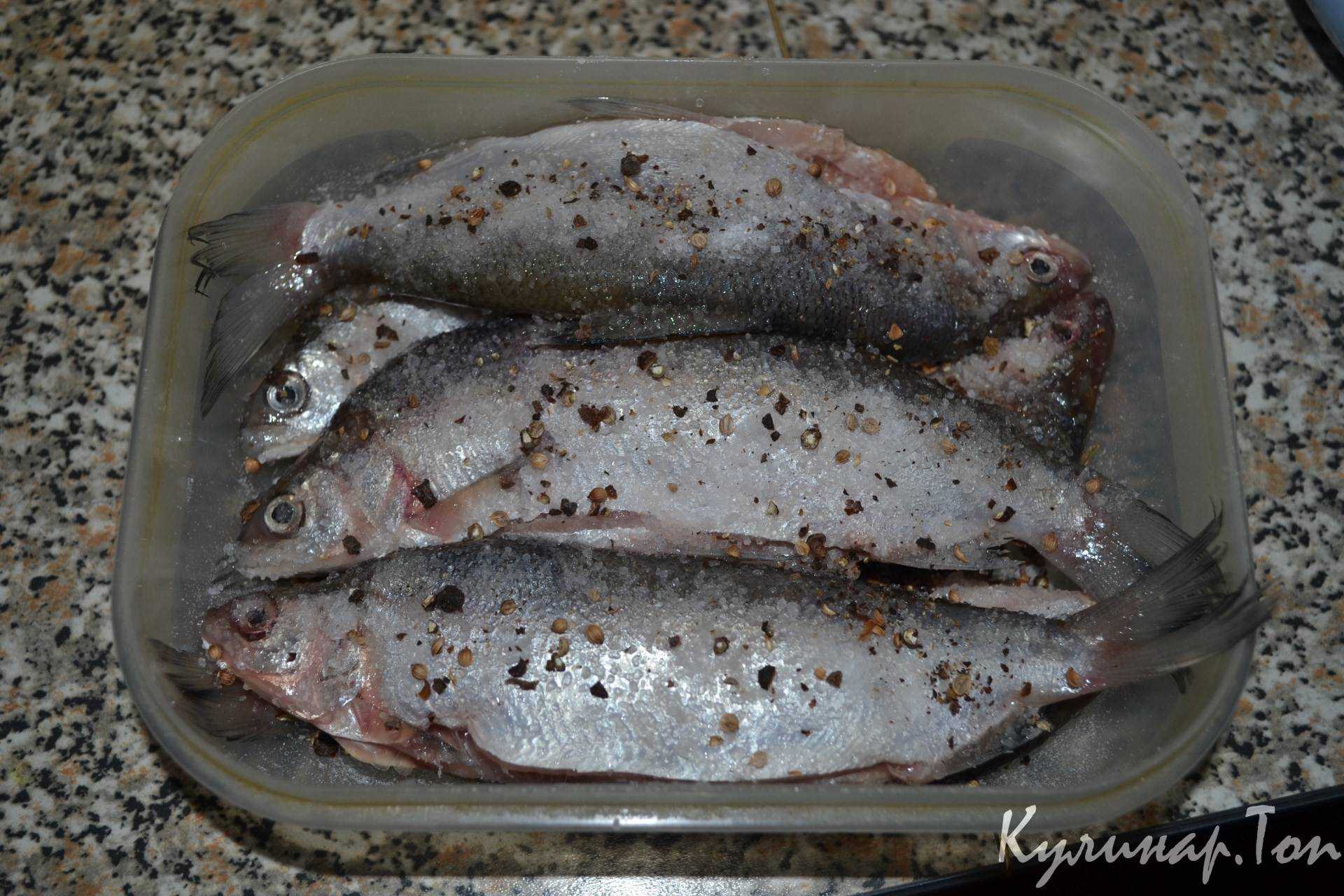 Как посолить пелядь в домашних условиях вкусно, быстро в рассоле, сухим посолом с луком, чесноком, маслом. фото пошагово