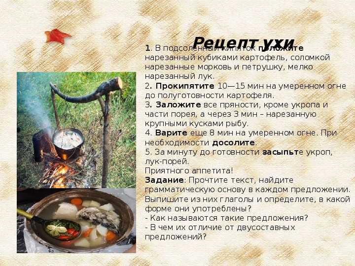 Как правильно варить уху: 12 рецептов + секреты и советы