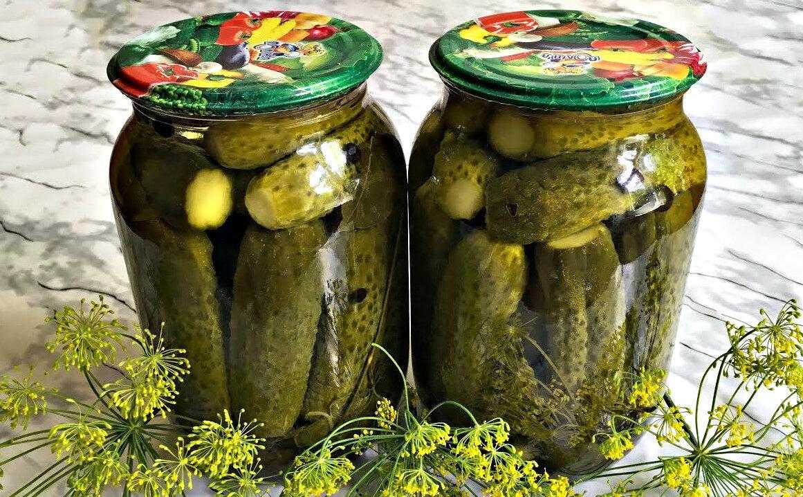 Чем отличаются соленые огурцы от маринованных