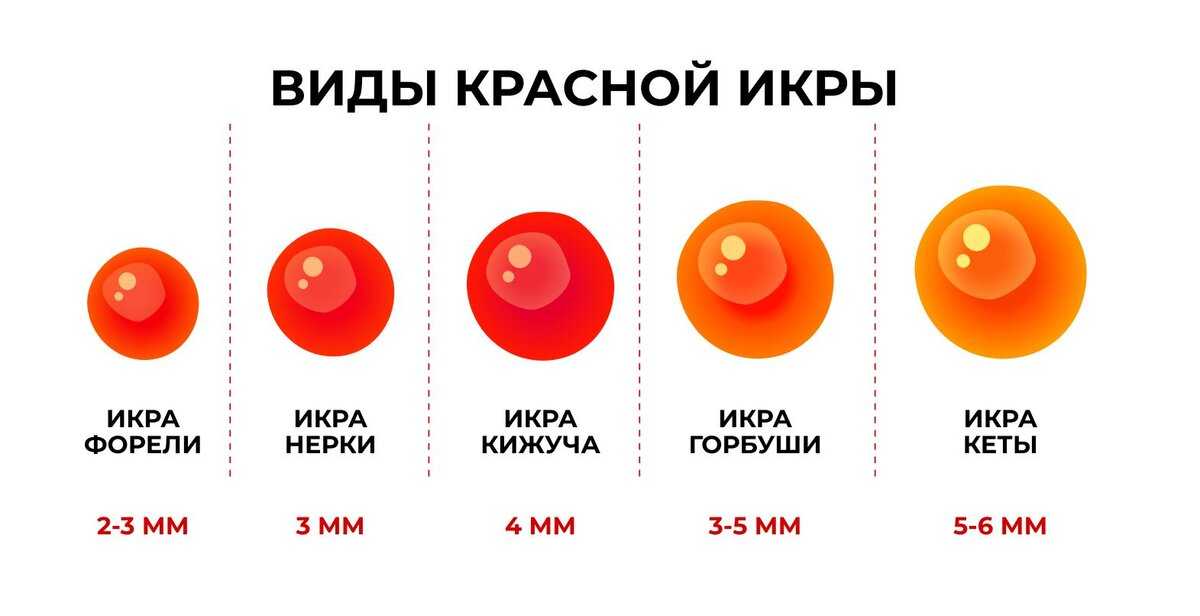 Почему горчит красная икра нерки. как убрать горечь из красной икры? красное и чёрное