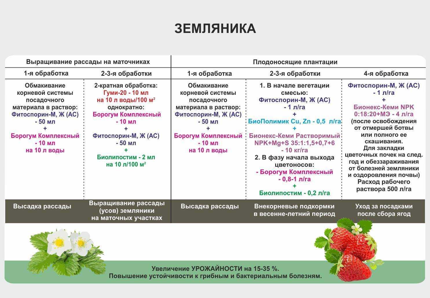 Как опыляется слива