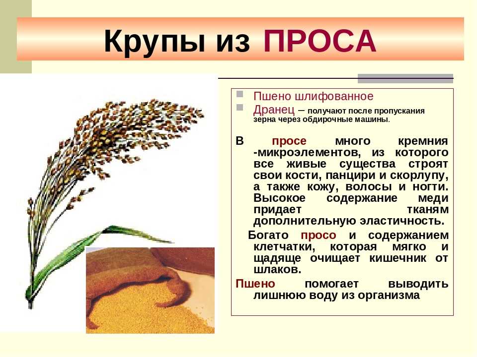 Котлеты из пшена постные: рецепт с фото | меню недели