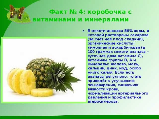 Как и где растут экзотические фрукты