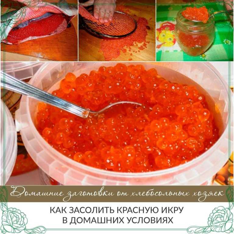 Икра щуки — польза и вред рыбного деликатеса