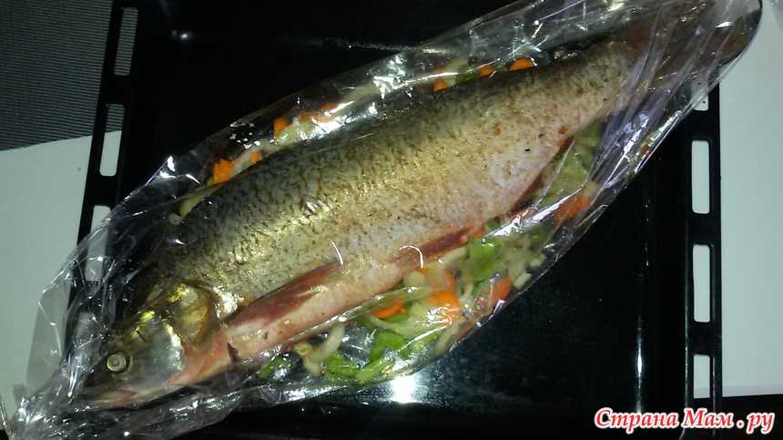 Рецепты приготовления жереха, как вкусно приготовить в домашних условиях (в фольге, духовке)