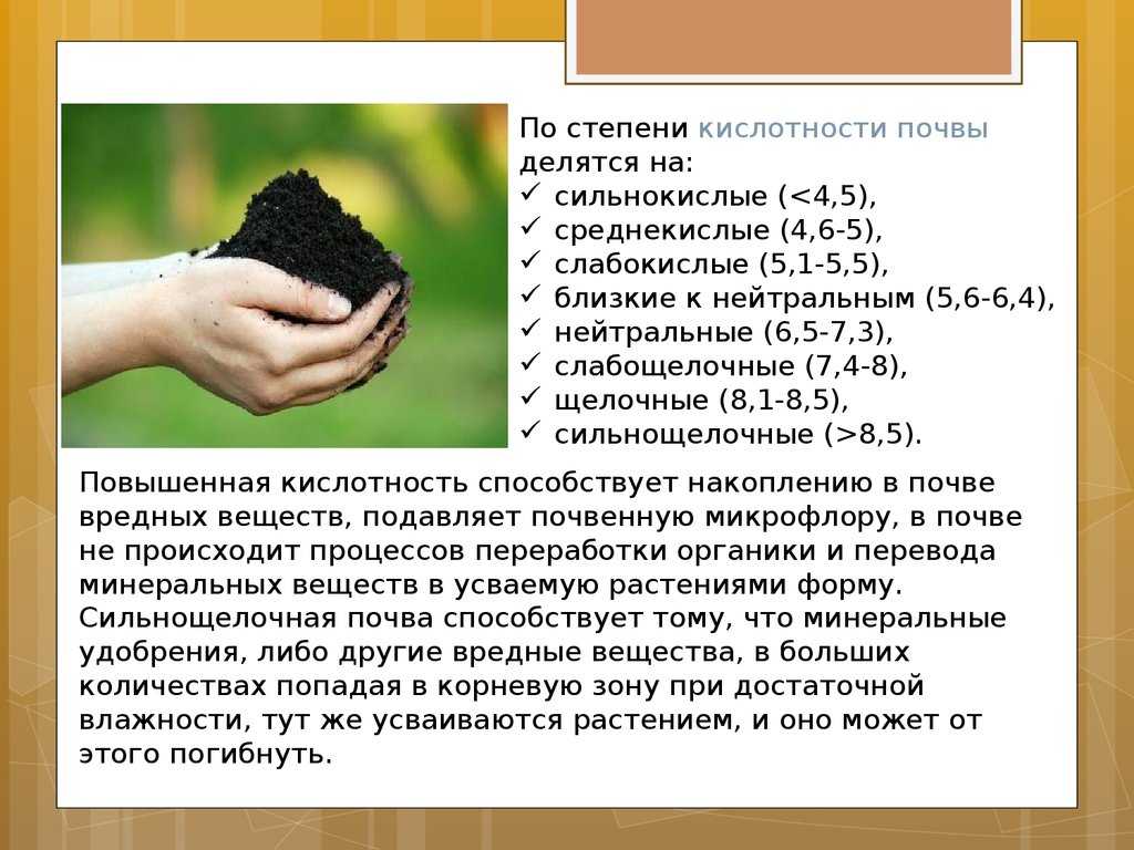 Как сделать землю более щелочной? - стройка от а до я