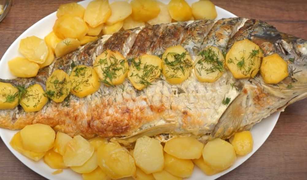 Карп в духовке целиком. вкусный рецепт запекания карпа с овощами